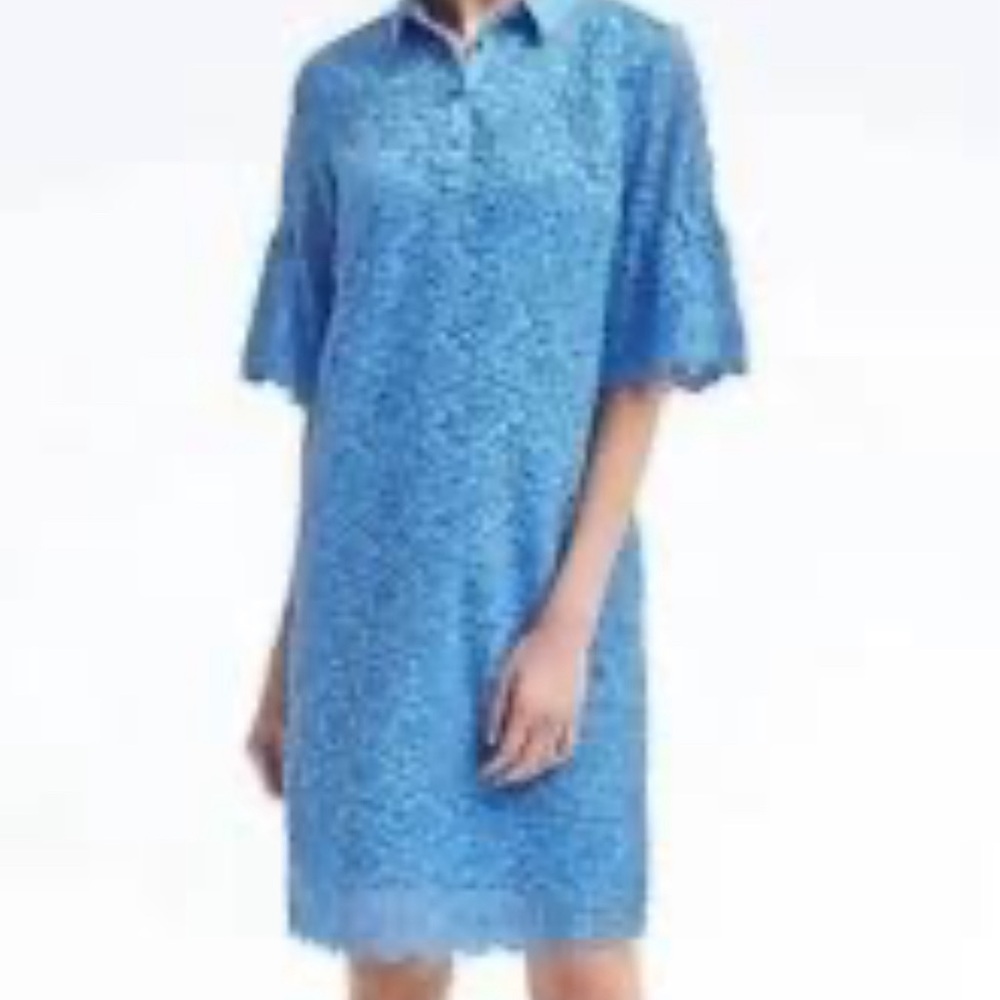 NWOT- never worn Ladies Banana Republic lined lace shift dress